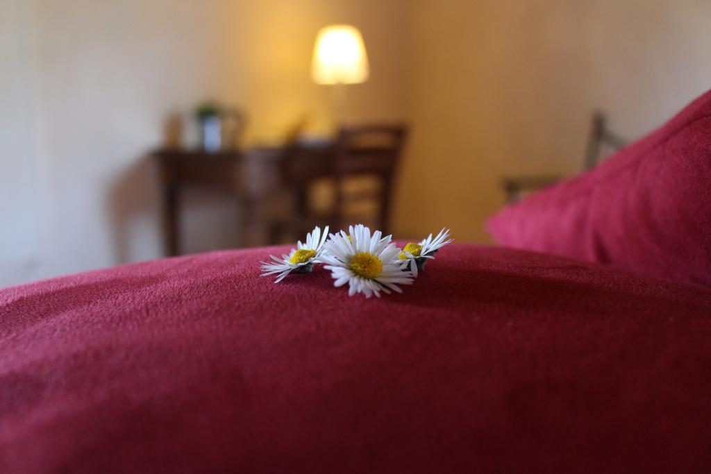 Agriturismo Casavecchia Figline Valdarno Kültér fotó